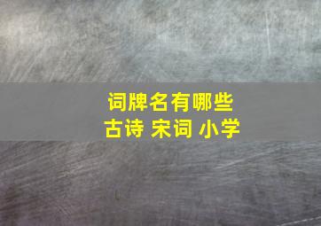 词牌名有哪些 古诗 宋词 小学